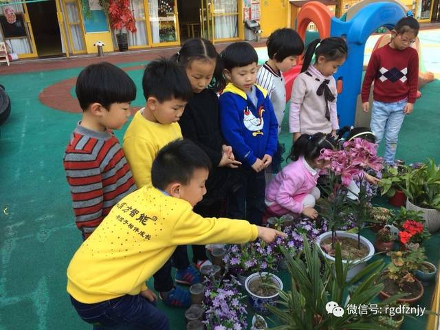 未成年黄色图片 我很乐意为您提供支持