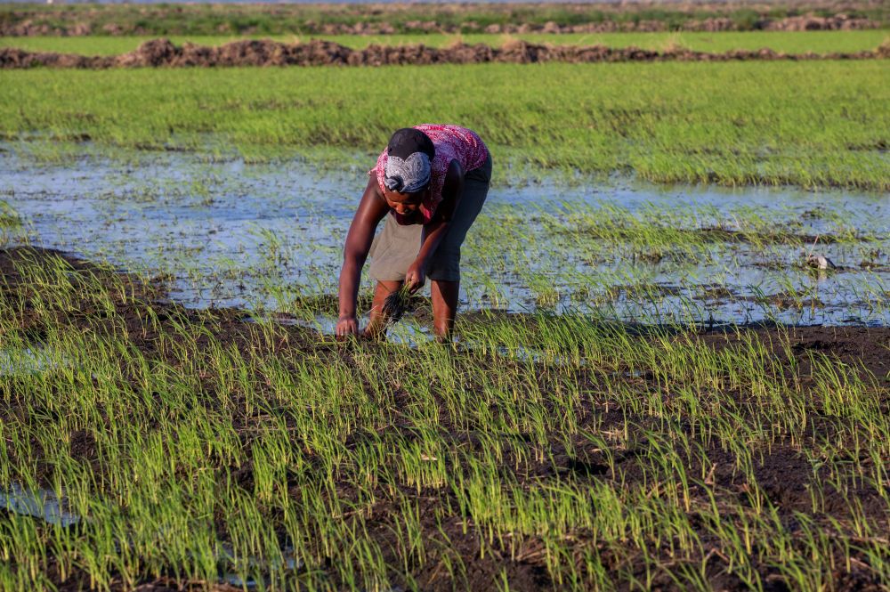 亚洲性日韩精品一区二区 这种分类方式也将持续演化
