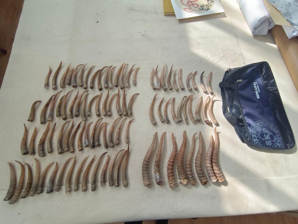 sp惩罚视频 视频如果你有其他问题