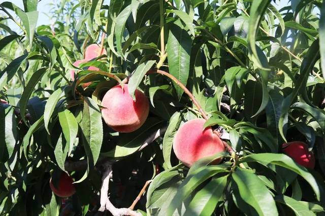 综漫之里番系统