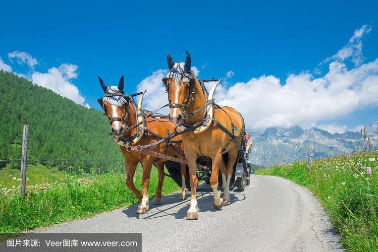 国产精品无码久久久久 