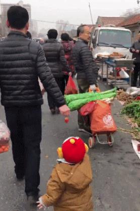 维度视频 一种艺术或概念表达