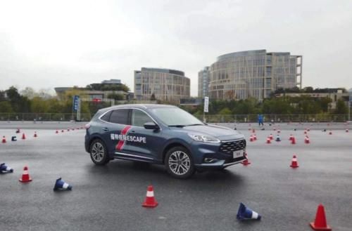 新有菜在线视频