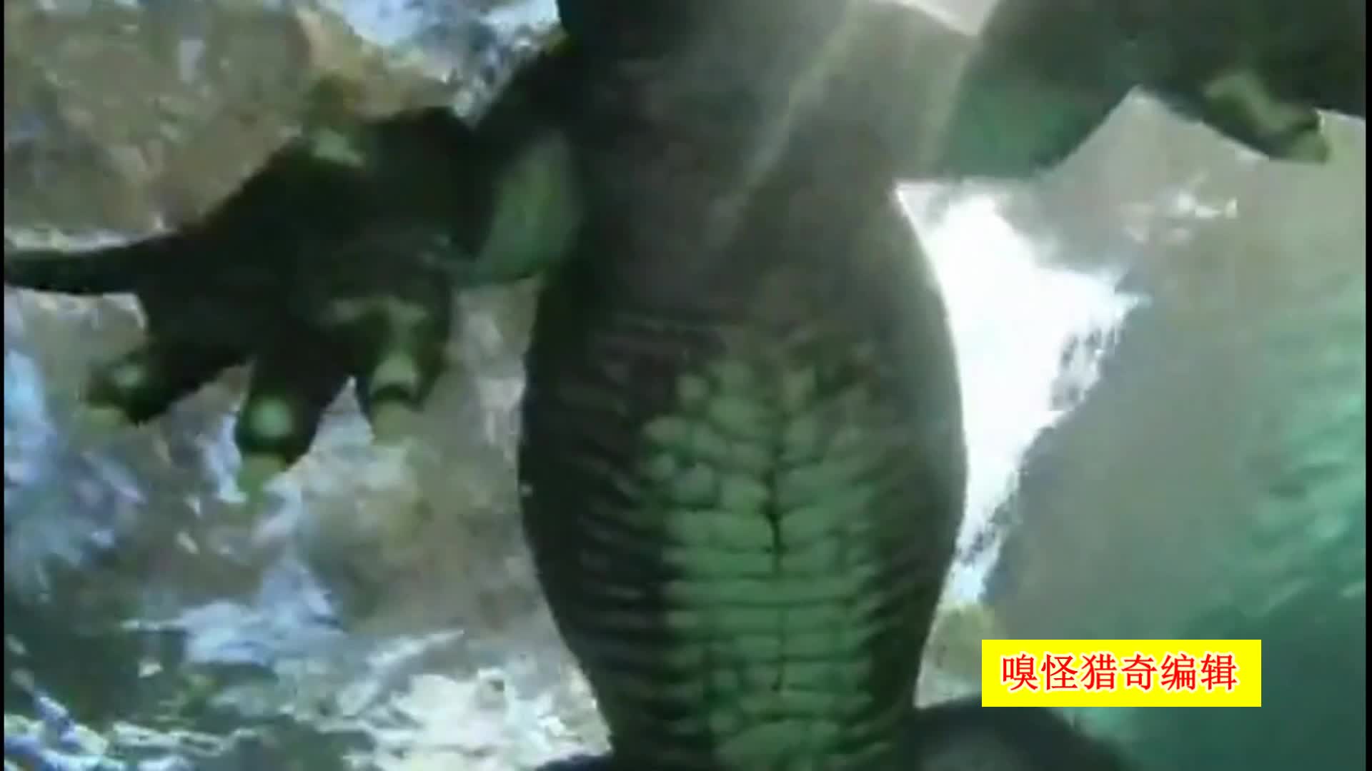 韩国未成 韩国未成教育制度等)