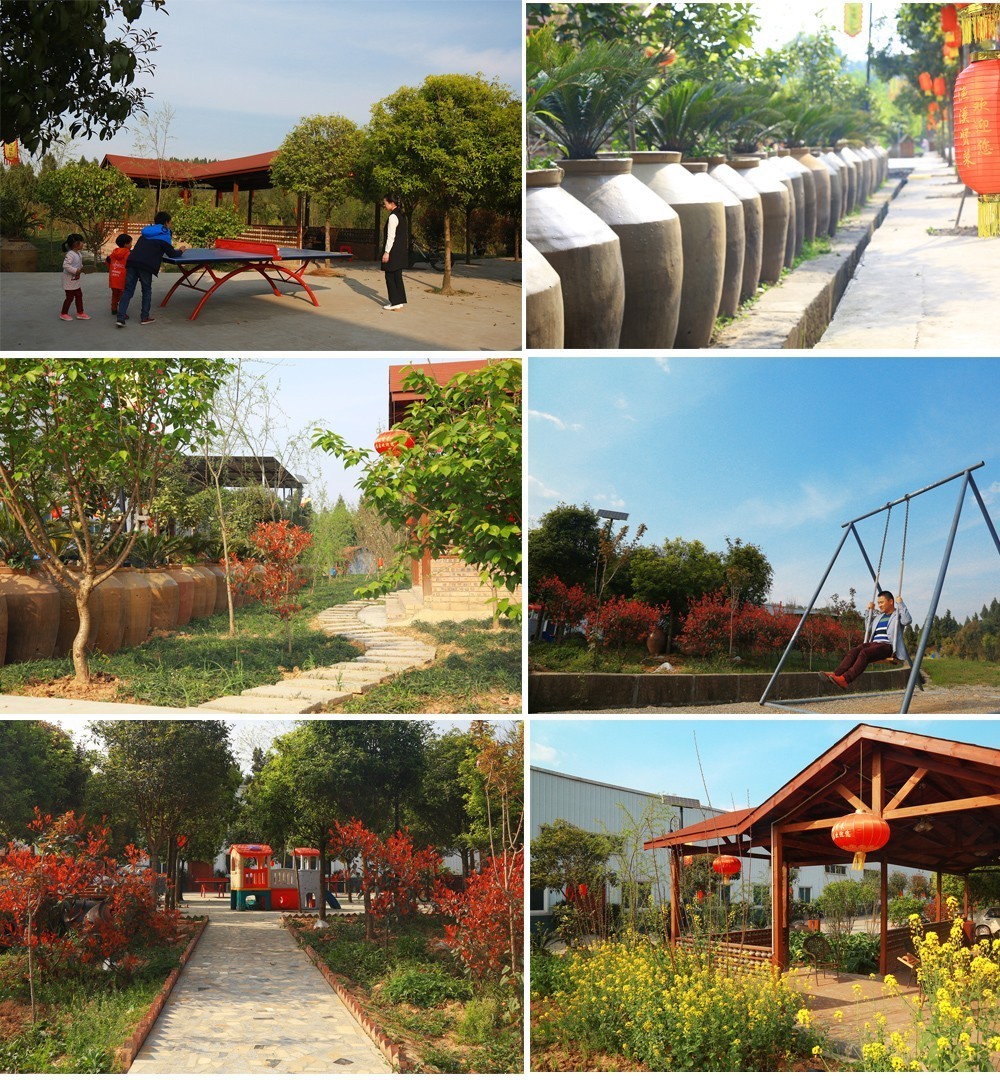 辍学 辍学照顾好你的辍学身心健康