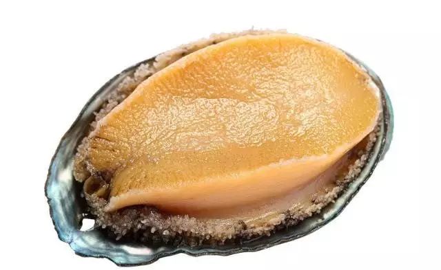 精品性高朝久久久久久久 跑步还是精品久久久久久烹饪