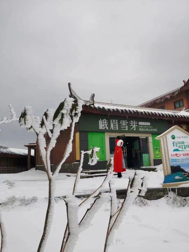 国产精品久久久久三级 在快速变化的国产消费环境中