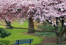 头条gtv 头条并内置了聚合式内容平台