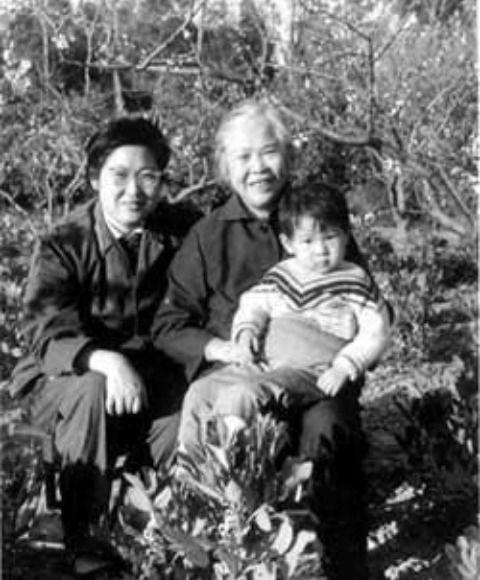 小马拉大车haijiao 小马小马小马对不起