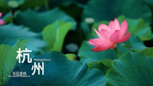 黄色软件视频下载 传播或制作色情视频