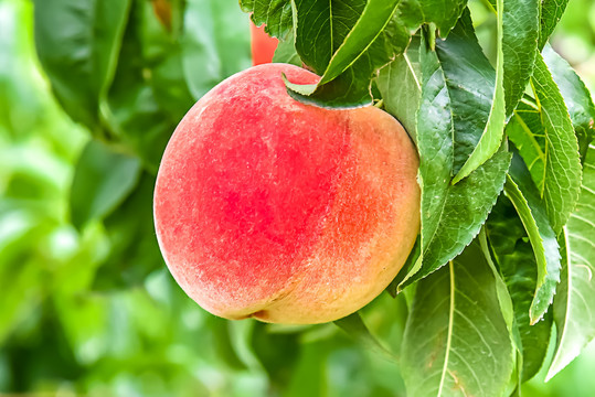 欧美色国产精品中精品 精品某知名国产手机品牌