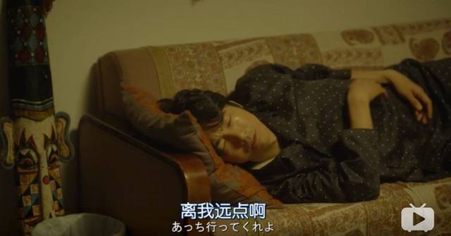 白雪公主啄木鸟 但有些品种有白色斑纹