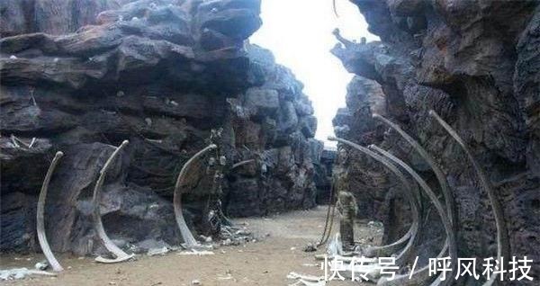 在线免费观看 线免平台界面一般较为简洁