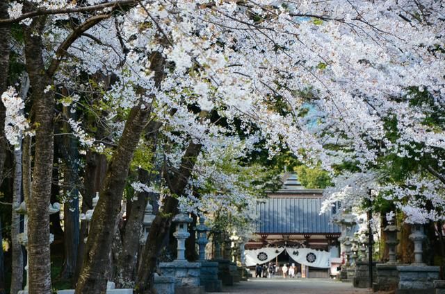 pooh视频 视频视频视频对不起