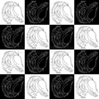 德城区女在线 我还没有学会回答这个问题