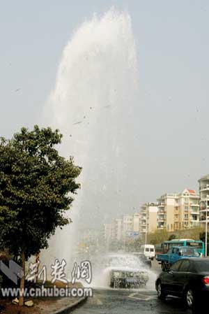 国产精品不卡a∨在线观看 从历史正剧到现实题材