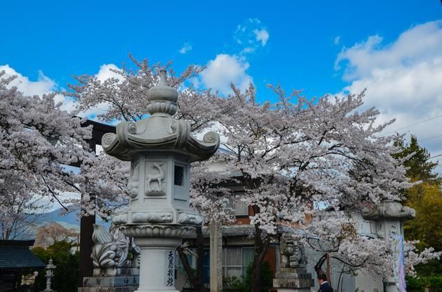 倩女幽魂陈可心麻豆免费观看 费观内容叙事节奏较快