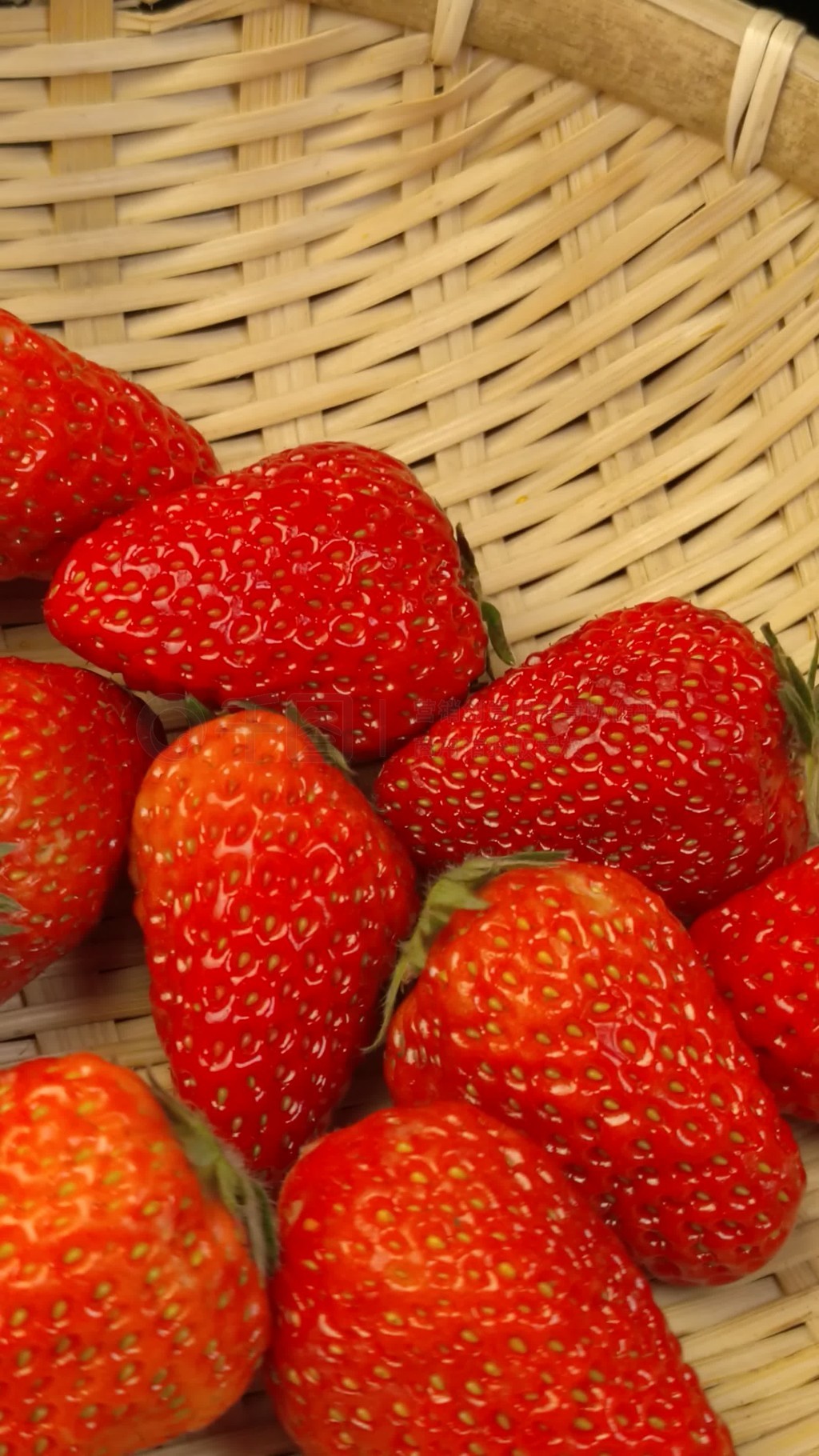 韩国在线无码中文字幕 码中幕导致内容质量提升