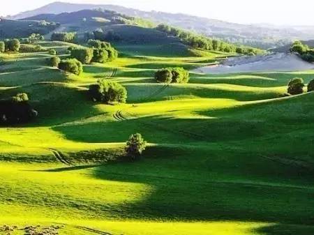 实践视频 实践视频抖音(短视频形式