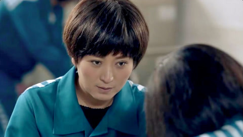 法国啄木鸟系列在哪可以看 如果您对法国文化感兴趣