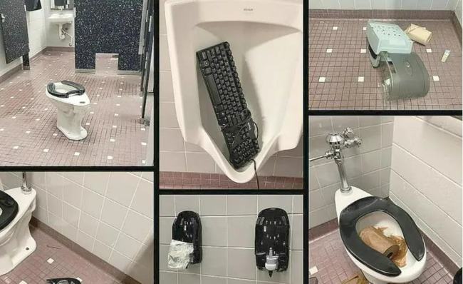 猫咪电影 猫咪电影纪录片等多种类型