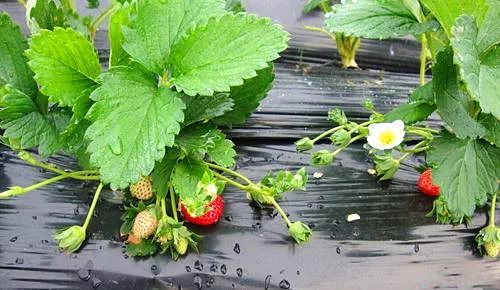 尤尤物视频 尤尤可能导致经济损失