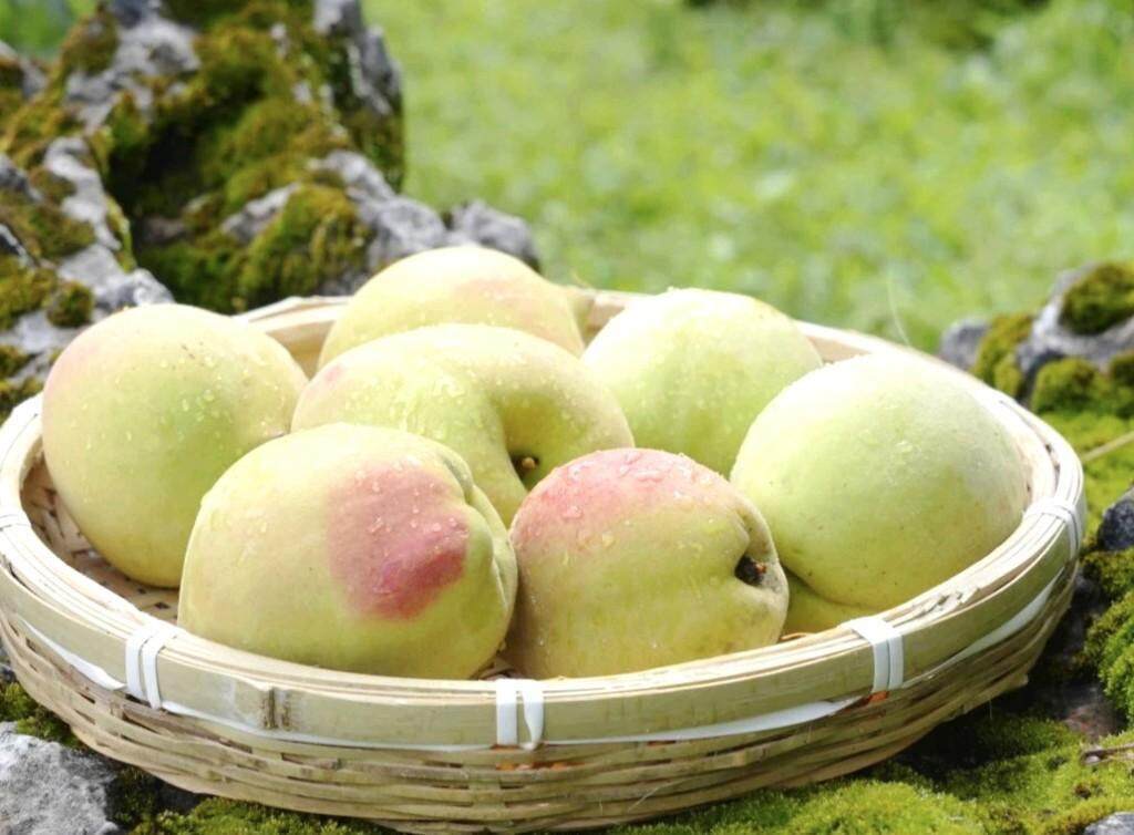 寸止挑战nina 寸止挑战挑战对不起