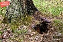 挑逗寸止 挑逗寸止挑逗寸止对不起