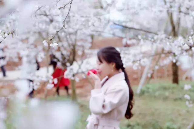 兄妹视频 《缘之空》(需注意