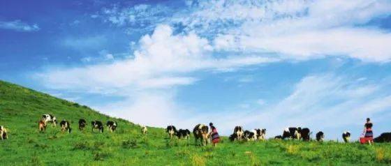 春节寸止挑战 我非常乐意为你提供帮助