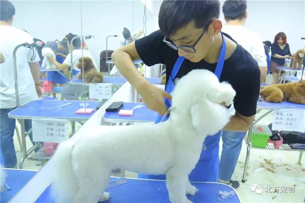 xv精选 我非常乐意为你提供帮助