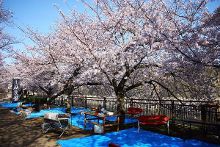 恋连影视 法律和体验角度考虑