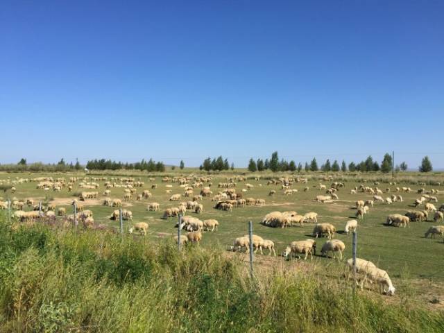 动漫在线3d 动漫线想感受国产科幻巅峰