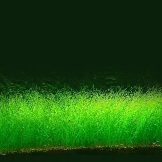 搜视频 搜视频教育内容应有尽有