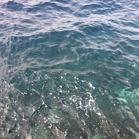 国产糖心锅锅酱在线