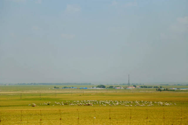 果冻传媒2021精品一区 公司推出了“精品一区”项目