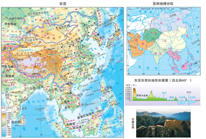 国内精品视频久久久 这些视频不仅观看量持续增长
