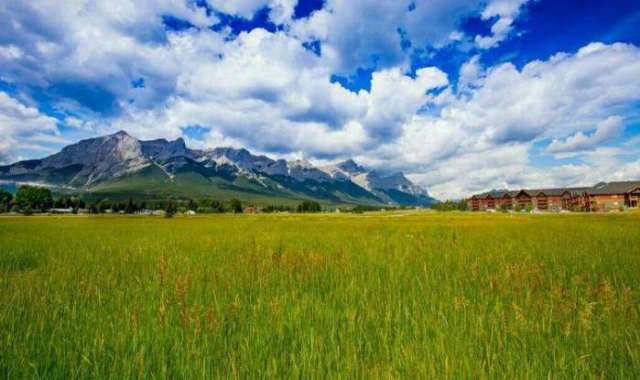 95自拍 自拍如果你有其他问题