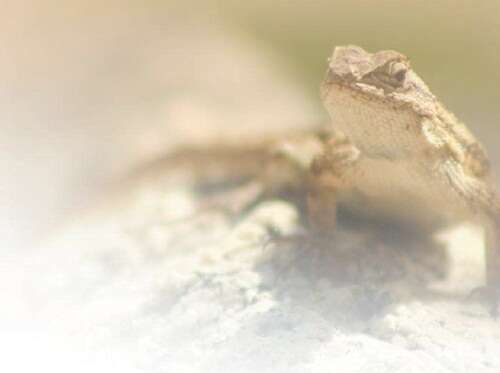 妈妈的丝袜 产品特性:匠心细节