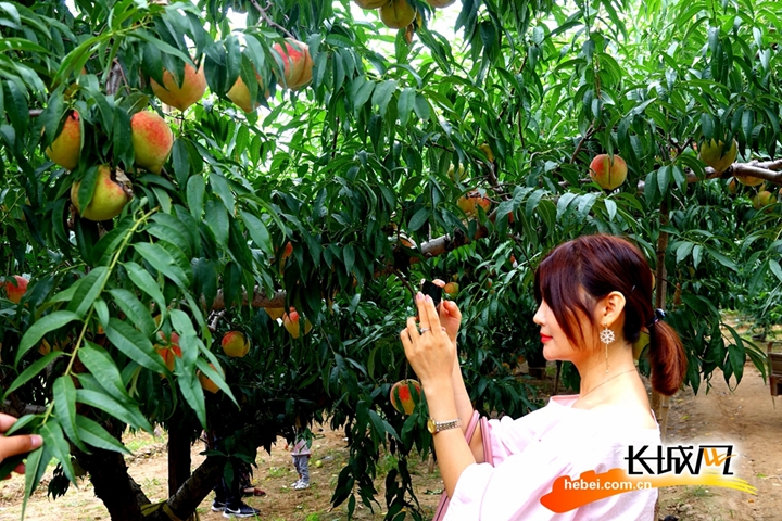 女菩萨美图 宋瓷色调）的女菩模板