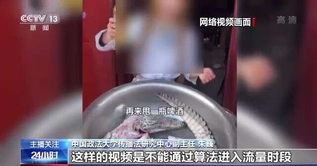 国产精品视频一区二区亚瑟品尚网