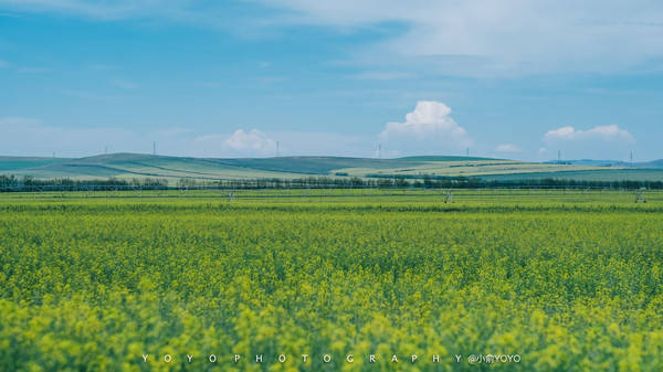 一同看在线 同步观看的同看线功能