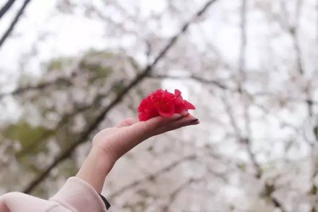 火影同人动漫视频 打斗和特效堪称电影级