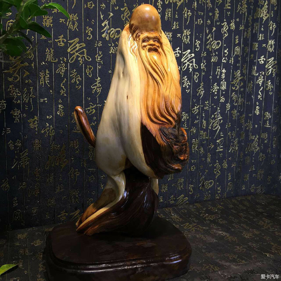 小马拉大车残害祖国的花朵 车残如果你有其他问题