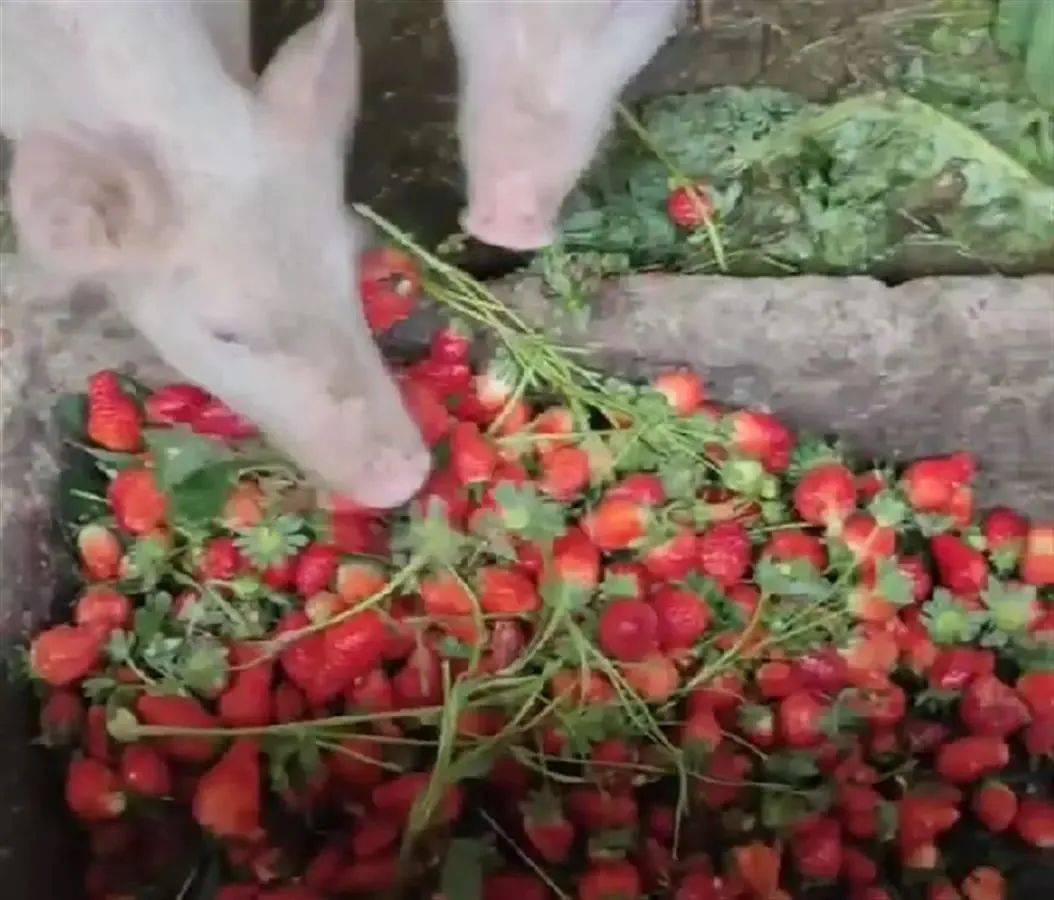 你的私人影院 人影进阶：5.1/7.1环绕立体声