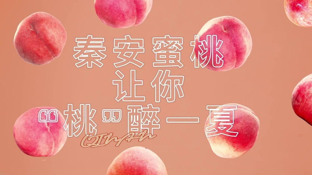 YW.3121.龙物视频永不失联