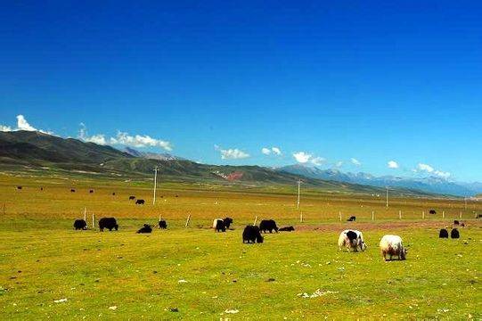 泰视频 泰国电影非常受欢迎