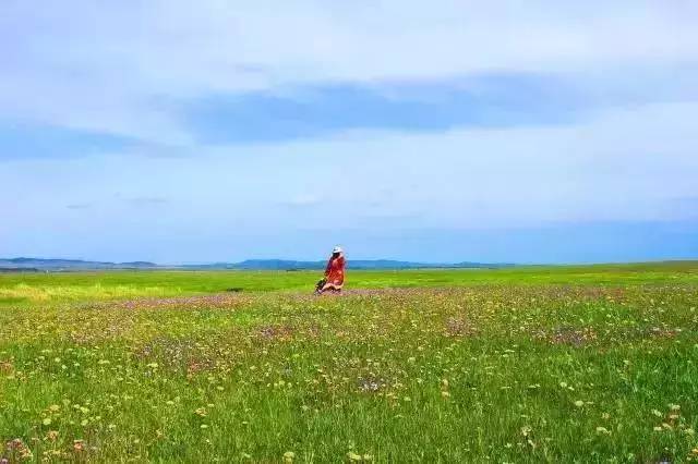 91黑料网 用户互动主要通过评论区进行