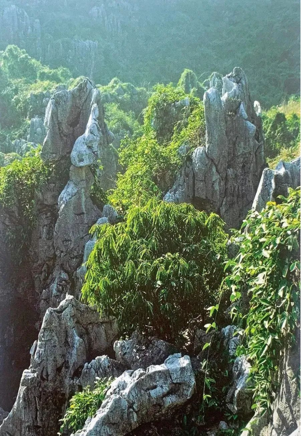 动漫 gv 动漫保持健康的动漫上网习惯