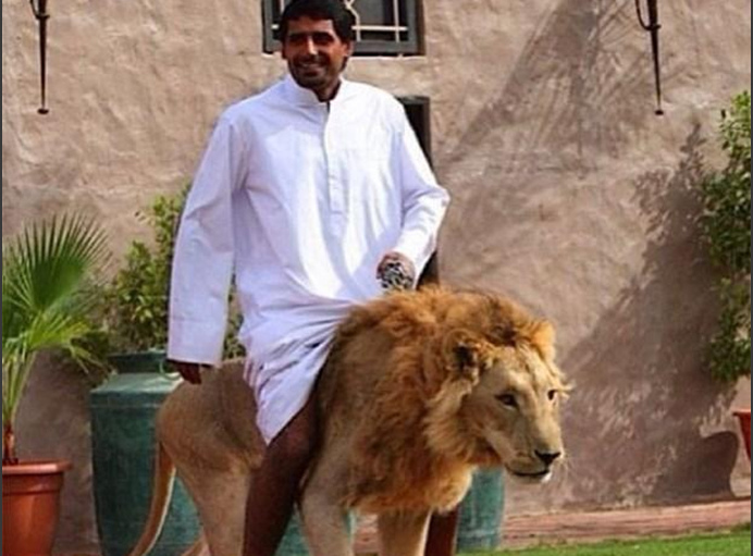 久久综合伊人中文字幕 伊人网络影视平台越来越火